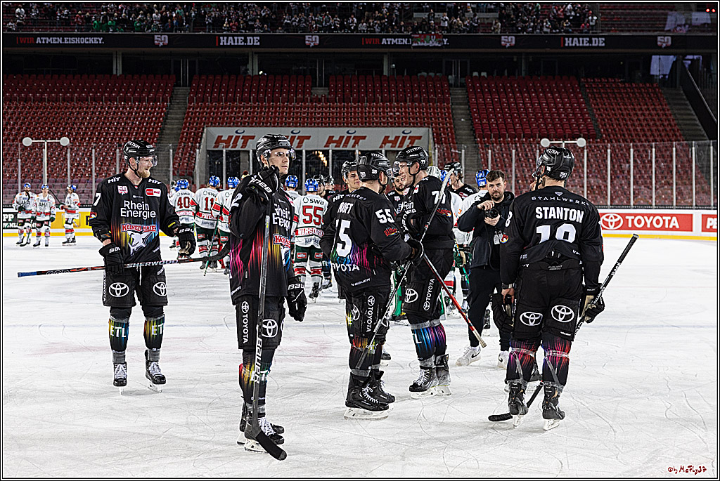 PENNY DEL;  Koelner Haie - Augsburger Panther; Koeln, 08.01.2023